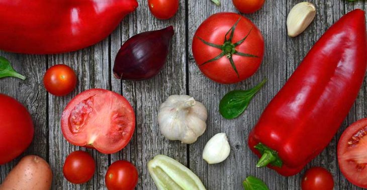 Le destin des aliments